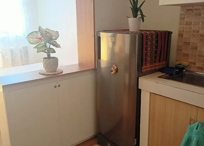 アパート Casamia Sanremo Oasis Cebu タリサイ